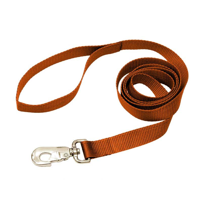 Nylon Leash, - Lucky Pet